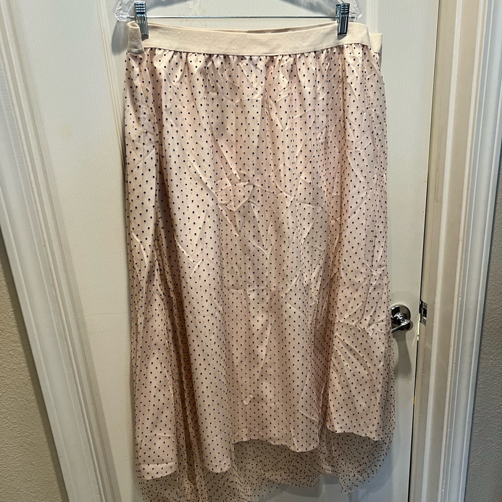 Sheer polka dot skirt 4xl